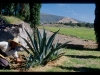 mm-_meksyk-teotihuacan-00745
